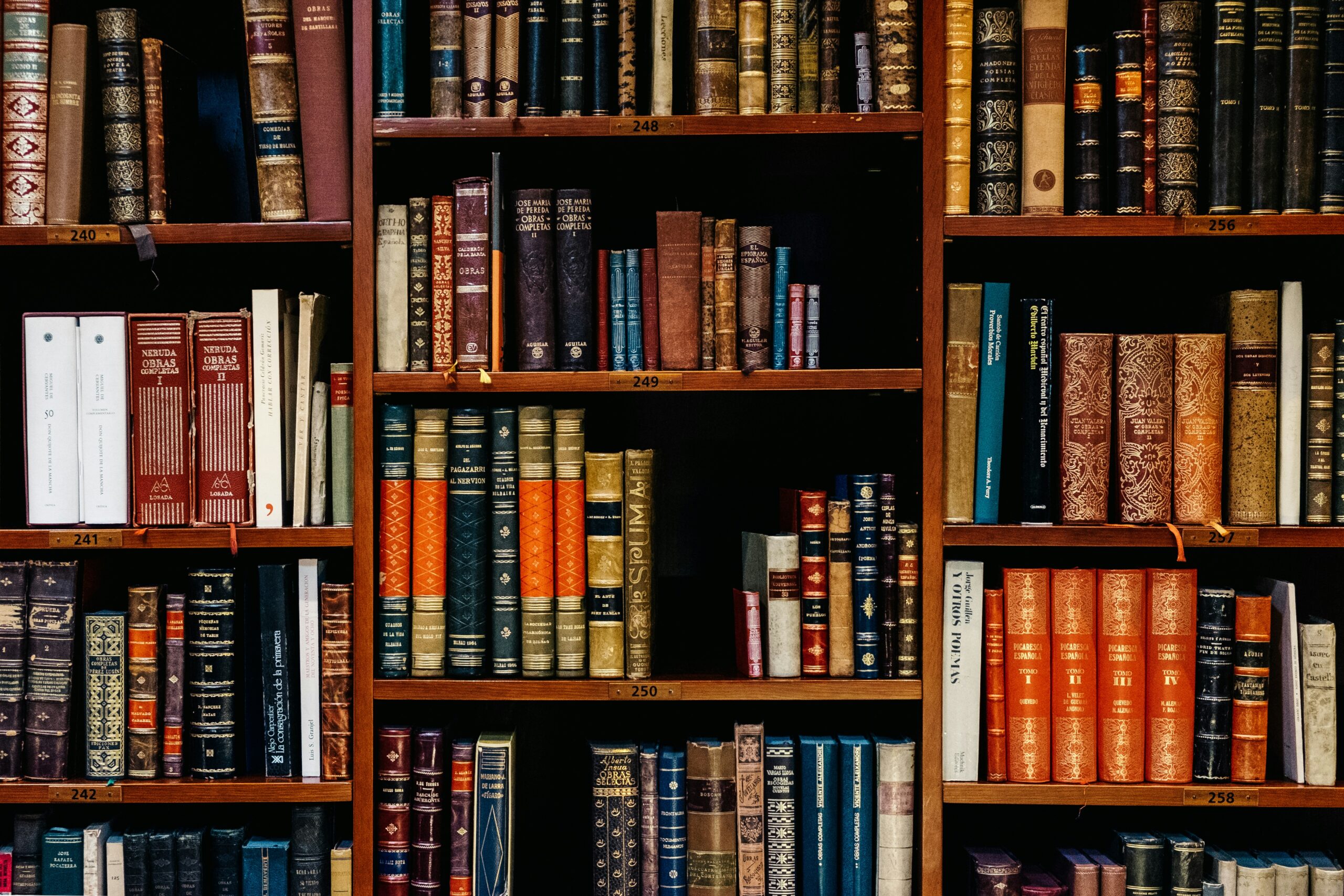 The best languages for self-development - Top 10 Languages to Learn