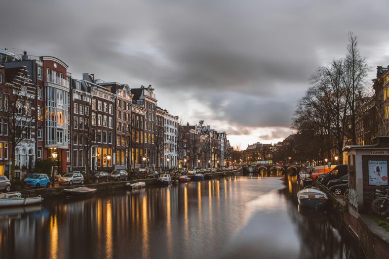 tips for learning the Dutch language easily