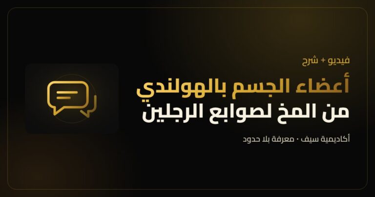 أعضاء الجسم بالهولندي مع النطق بالعربي
